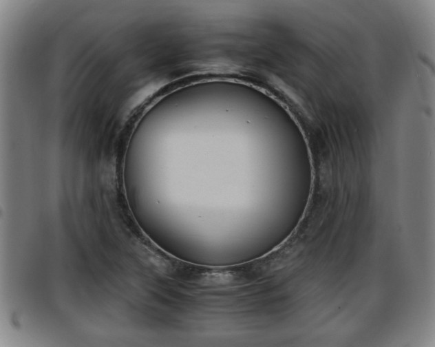 X0000096381315200801311251
