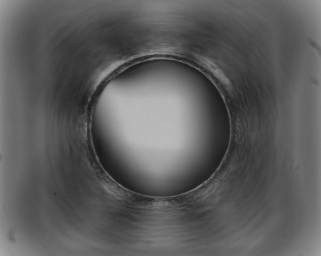 X0000096381316200801311251