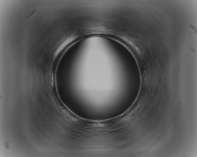 X0000096381317200801311251