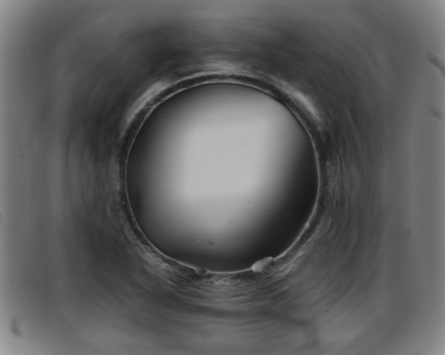 X0000096381318200801311251