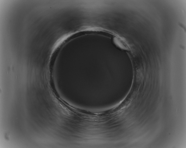 X0000096381319200801311251