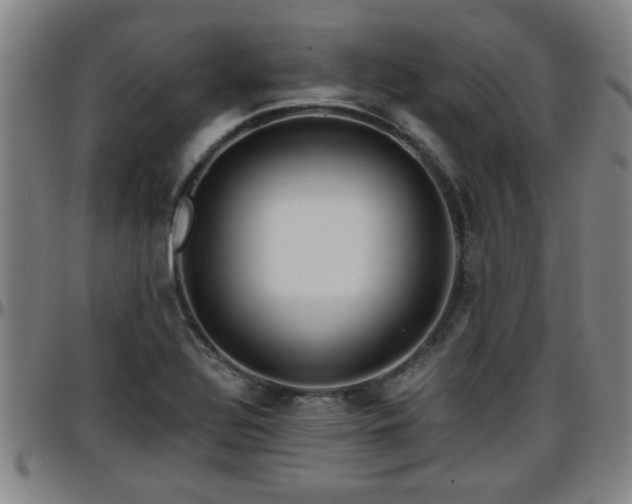 X0000096381320200801311251