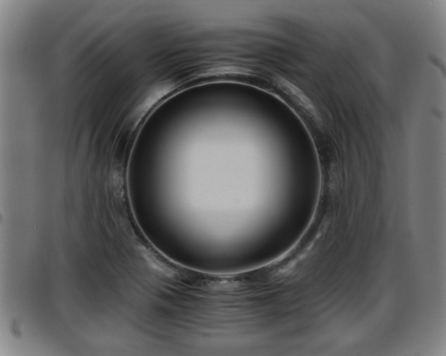 X0000096381321200801311251