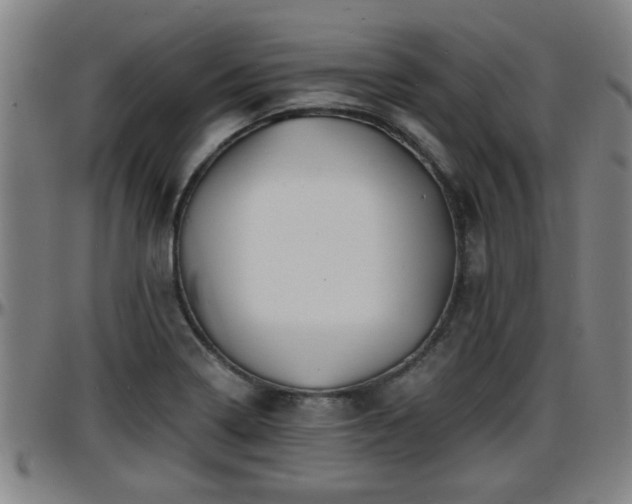 X0000096381322200801311251