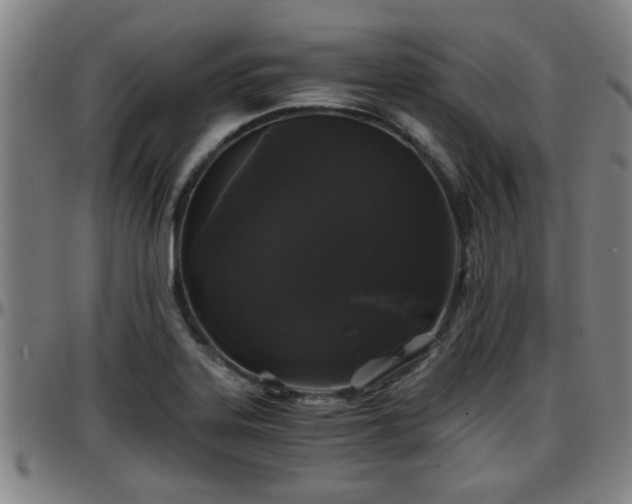 X0000096381323200801311251