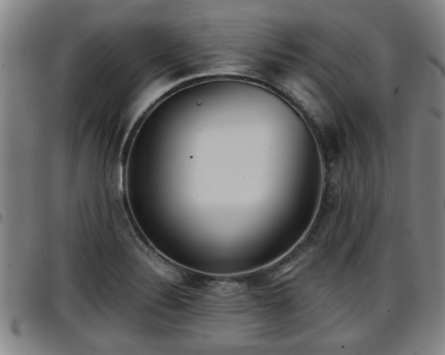 X0000096381324200801311251