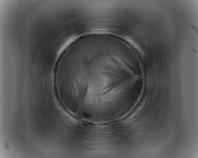 X0000096381325200801311251