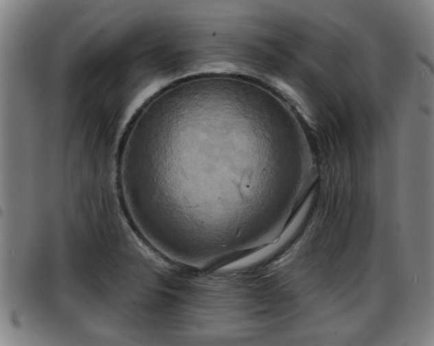 X0000096381326200801311251