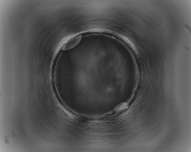 X0000096381327200801311251