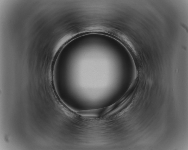 X0000096381328200801311251