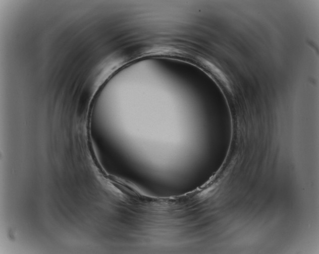 X0000096381330200801311251