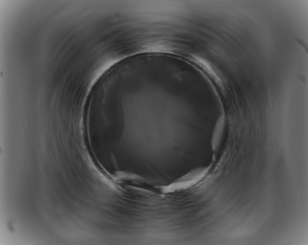 X0000096381331200801311251