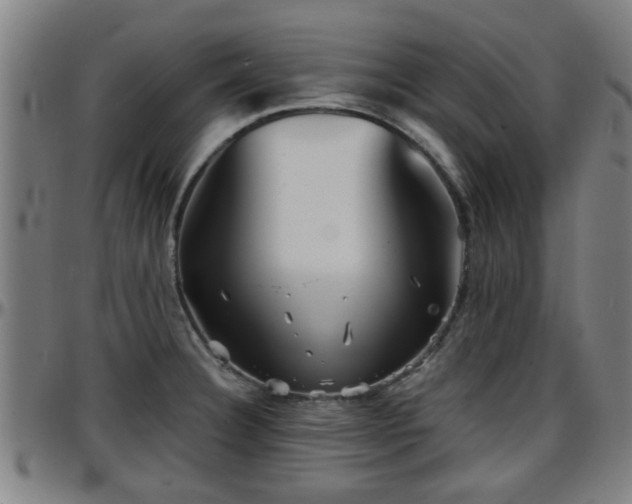X0000096381332200801311251