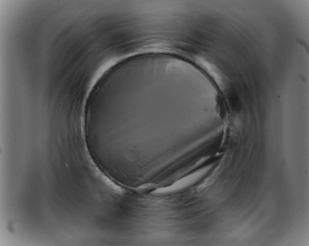 X0000096381334200801311251