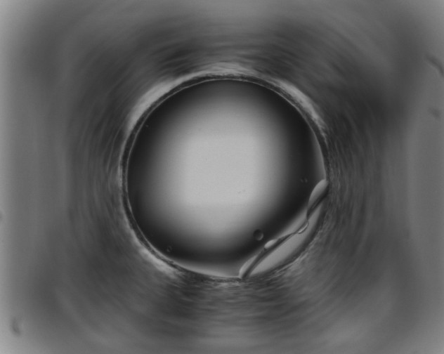 X0000096381335200801311251