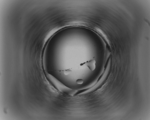 X0000096381336200801311251
