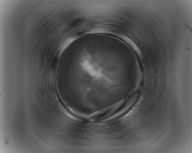 X0000096381337200801311251