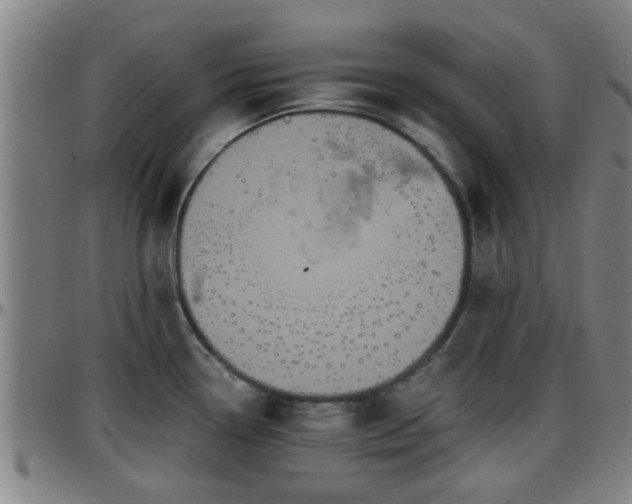 X0000096381338200801311251