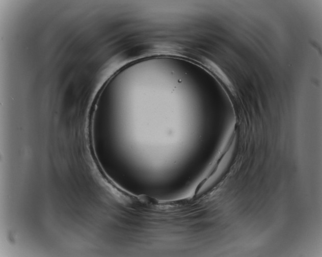 X0000096381339200801311251
