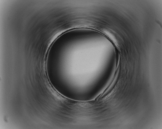 X0000096381340200801311251