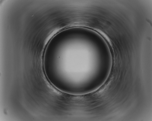 X0000096381341200801311251