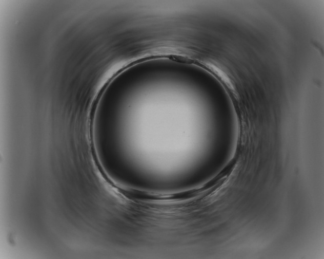 X0000096381342200801311251