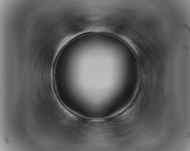 X0000096381343200801311251
