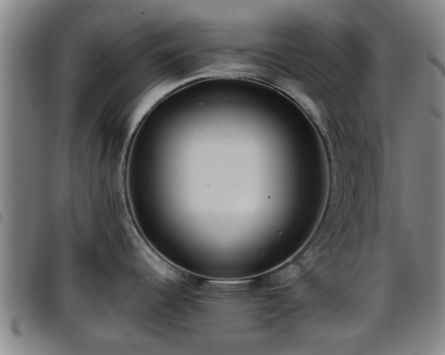 X0000096381344200801311251
