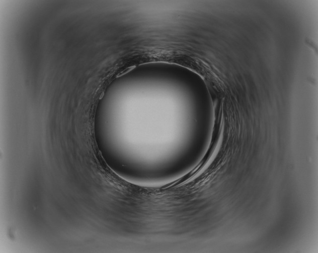 X0000096381345200801311250