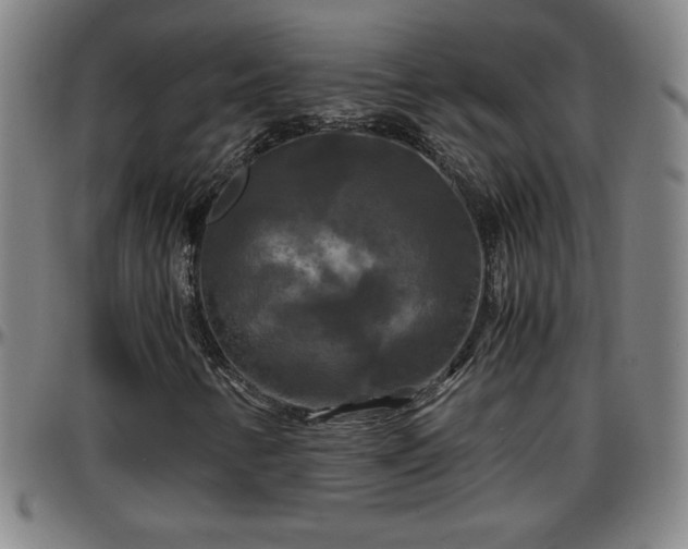 X0000096381346200801311250