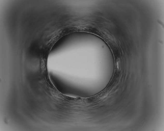 X0000096381347200801311250