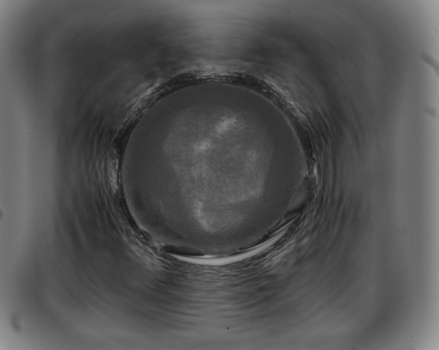 X0000096381348200801311250