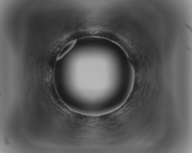 X0000096381349200801311250