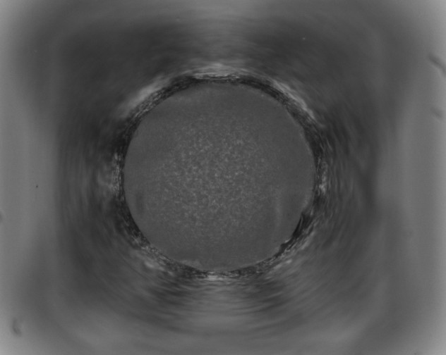 X0000096381350200801311250