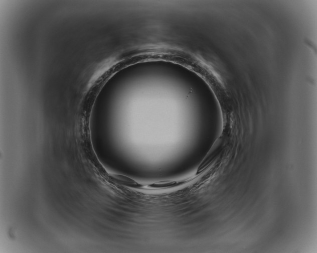 X0000096381352200801311250