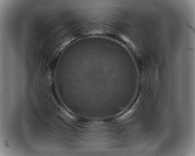 X0000096381353200801311250