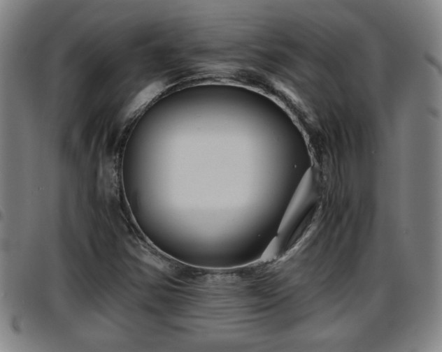 X0000096381354200801311250