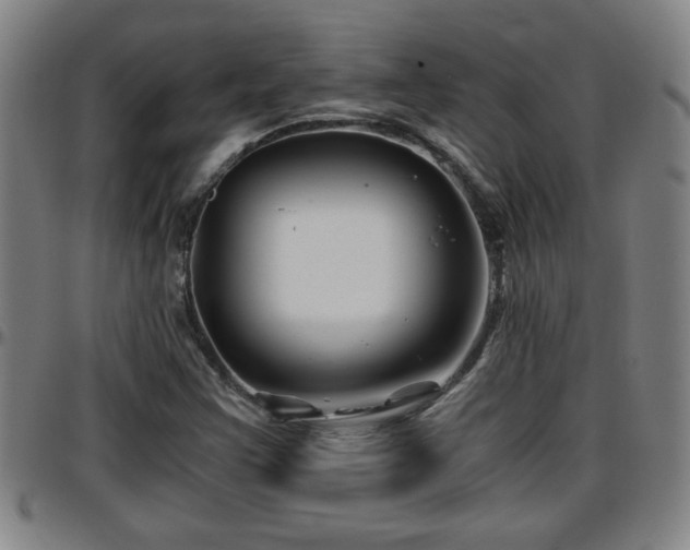 X0000096381355200801311250