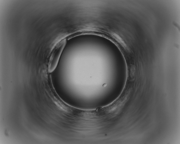 X0000096381356200801311250