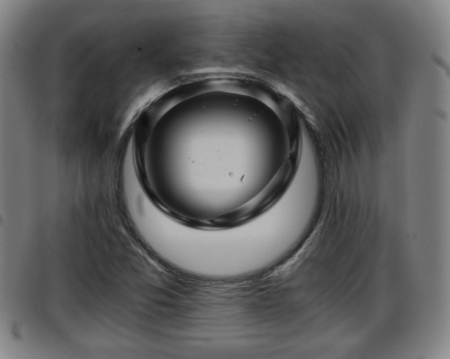 X0000096381357200801311250