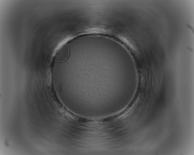 X0000096381358200801311250