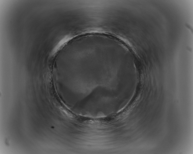X0000096381359200801311250