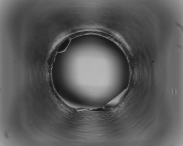 X0000096381360200801311250