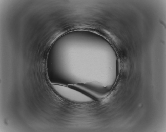 X0000096381361200801311250