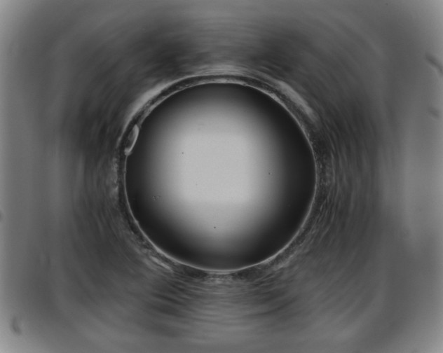 X0000096381364200801311250
