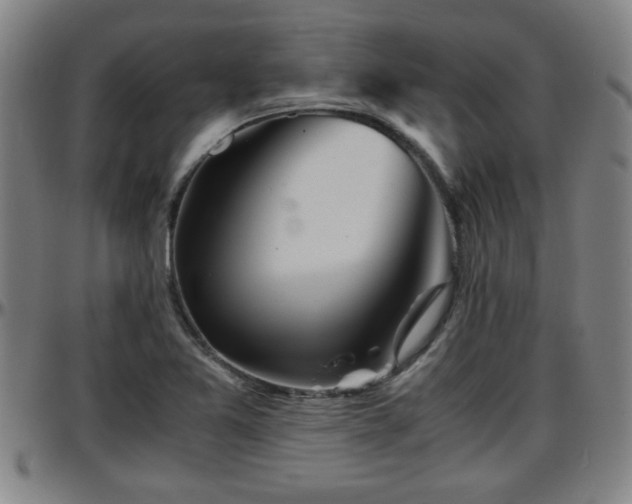 X0000096381365200801311250