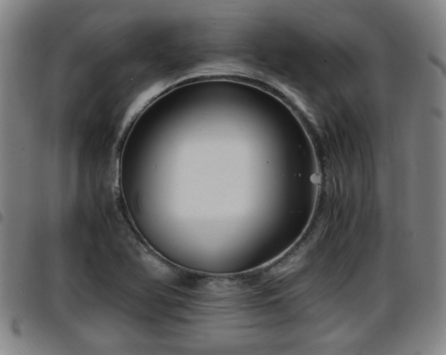 X0000096381366200801311250