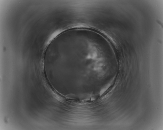 X0000096381367200801311250