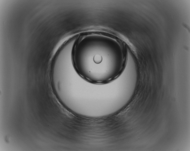X0000096381368200801311250