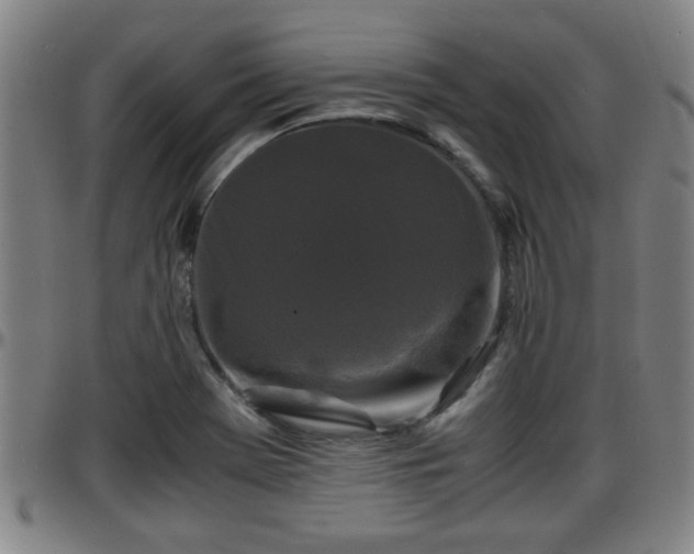 X0000096381369200801311250
